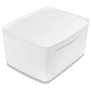 Úložný box s víkem Leitz MyBox velikost L